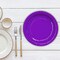 20 Count 9 Inch Purple Paper Plates Sturdy Disposable Party Celebrations